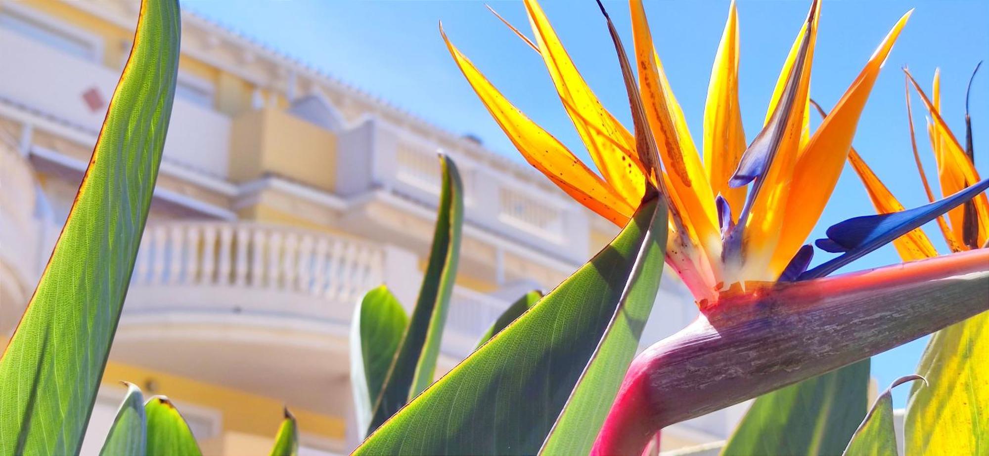 Apartamento Playa Sol By Denia Costa Εξωτερικό φωτογραφία
